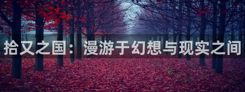 喵趣动漫
