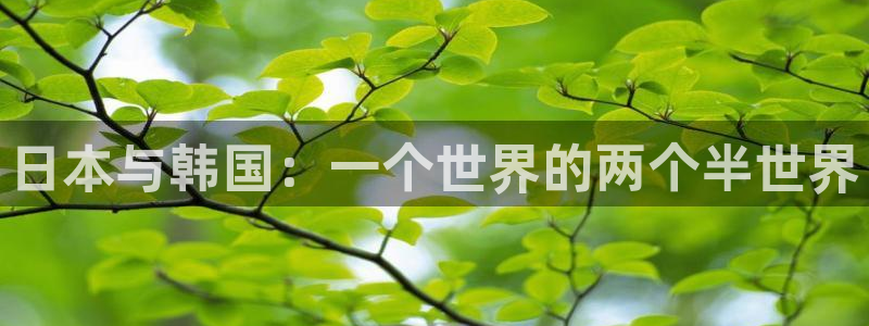 喵趣漫画ios怎么下载